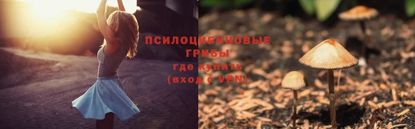 не бодяженный Богородицк