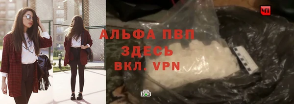 винт Богданович