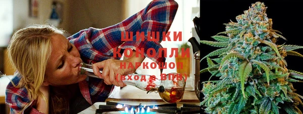 винт Богданович