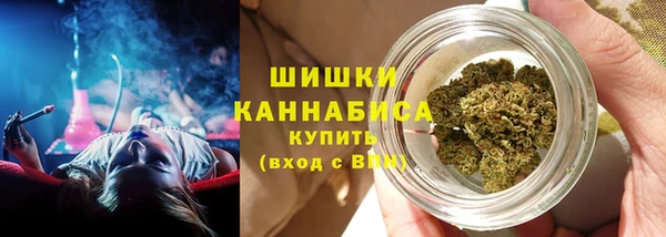 винт Богданович