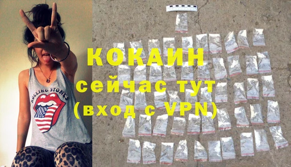 винт Богданович