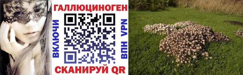 Галлюциногенные грибы прущие грибы  Богородицк 