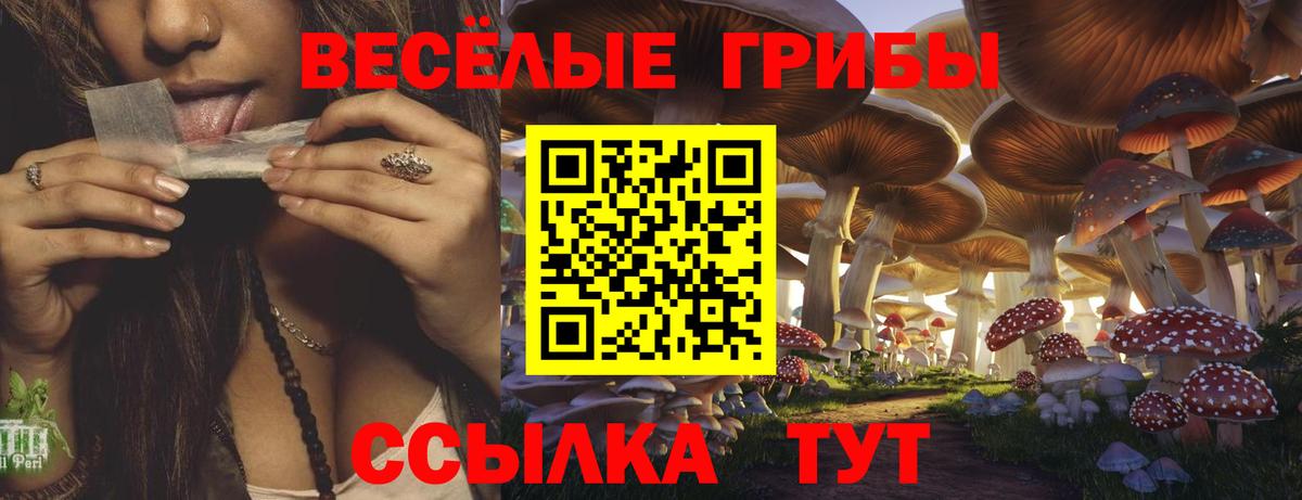 Псилоцибиновые грибы GOLDEN TEACHER Богородицк