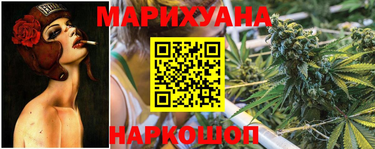 Конопля гибрид Богородицк